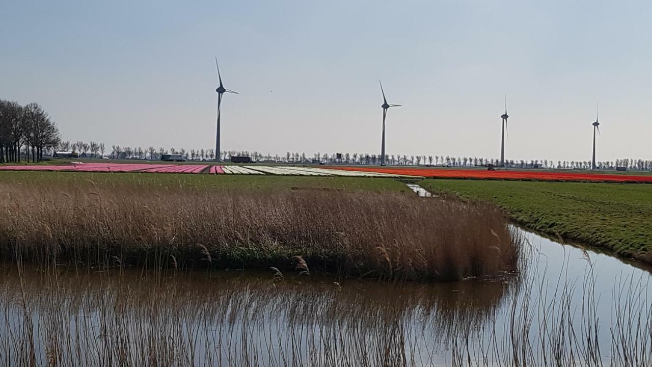 Vliet Medemblik